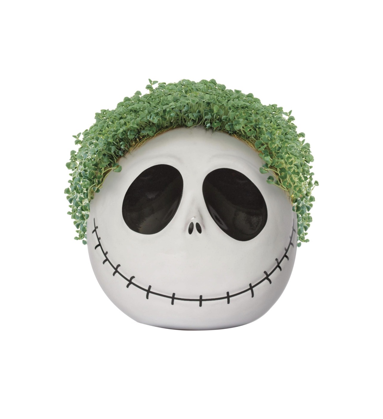 CHIA PET THE NIGHTMARE BEFORE CHRISTMAS JACK SKELLINGTON DECORATIVE POT EASY TO DO FUN TO GROW CHIA SEEDS - Image 2