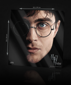 HARRY POTTER AND THE DEADLY HALLOWS ACRYLIC POSTER