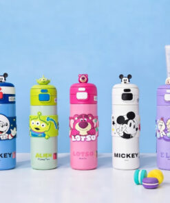 DISNEY INSULATED STAINLESS STEEL WATER BOTTLE
