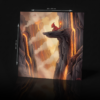 POKEMON CHARMELEON ACRYLIC POSTER